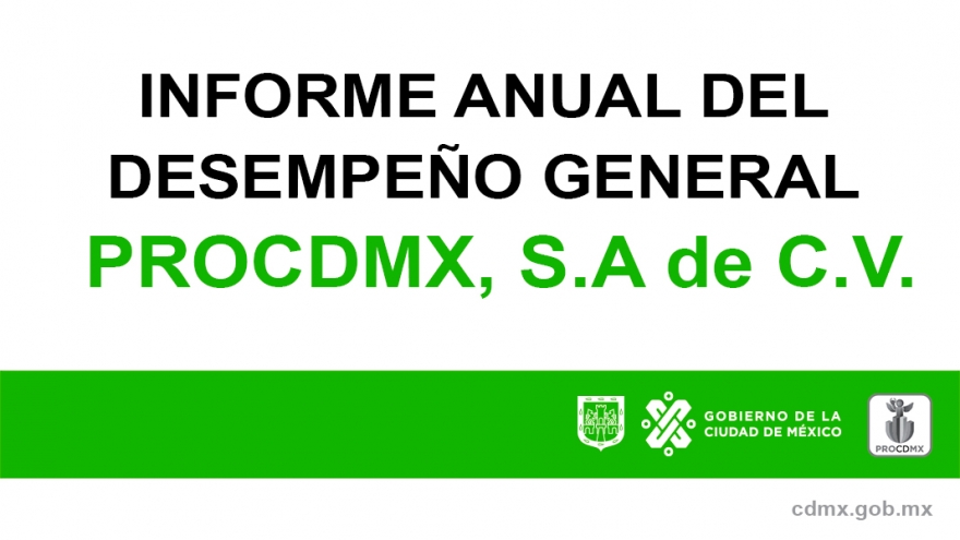 Informe Anual del Desempeño General